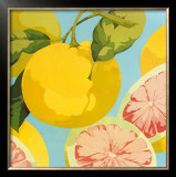 Buy Fresh Grapefruits at AllPosters.com