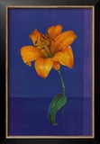 Buy Flower on Blue at AllPosters.com