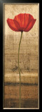 Poppy Panel I