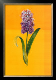 Buy Flower on Yellow at AllPosters.com
