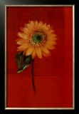 Buy Flower on Red at AllPosters.com