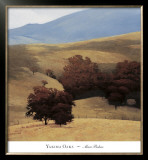 Buy Yakima Oaks at AllPosters.com
