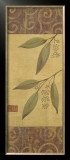 Eucalyptus Leaves II