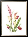 Buy Tropical Bouquet I at AllPosters.com