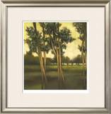 Buy Through the Trees I at AllPosters.com