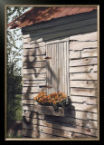 Buy Tree Spirit at AllPosters.com