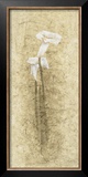 Buy Calla Lilies at AllPosters.com