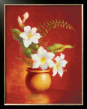 Buy Amaryllis at AllPosters.com