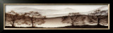 Buy Fade Away I at AllPosters.com
