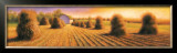 Harvest