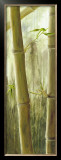 Buy Rainforest III at AllPosters.com