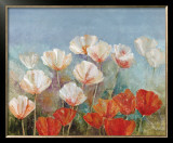 Buy Blushing Poppies at AllPosters.com