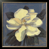 Buy Glowing Magnolia at AllPosters.com