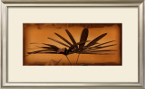 Buy Sepia Palms II at AllPosters.com