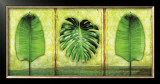 Buy The Tropics at AllPosters.com