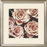 Buy Roses at AllPosters.com