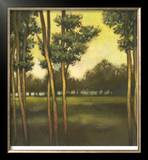 Through the Trees II