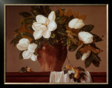 Buy Magnolia with Apricots at AllPosters.com