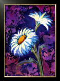 Buy Daisy at AllPosters.com