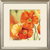 Buy Champs de Coquelicots I at AllPosters.com