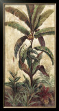 Buy Exotic Palms II at AllPosters.com