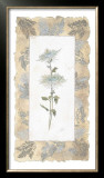 Buy Fuji Mum at AllPosters.com