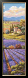 Fields of Lavender I