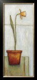 Buy The Blossom at AllPosters.com