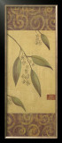 Eucalyptus Leaves I