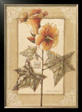 Buy Hibiscus Abelmoschus at AllPosters.com
