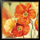 Buy Champs de Coquelicots I at AllPosters.com