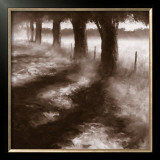 Buy Trees Along Path at AllPosters.com
