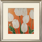 Buy White Tulips at AllPosters.com