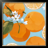 Fresh Oranges