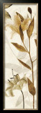 Buy Ambre Antique I at AllPosters.com