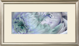 Buy Dahlias VI at AllPosters.com