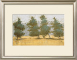 Buy Afternoon Haze at AllPosters.com