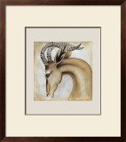 Serengeti Gerenuk