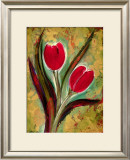 Tulip