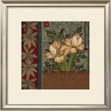 Buy Pappagallo II at AllPosters.com
