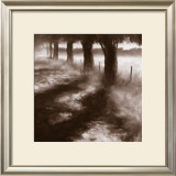 Buy Trees Along Path at AllPosters.com