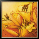 Sunny Orange