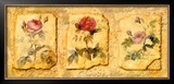 Secret Garden IV