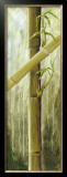 Buy Rainforest II at AllPosters.com