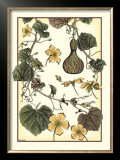 Buy Arts and Crafts Gourd at AllPosters.com
