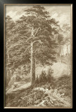 Buy Sepia Wild Pine at AllPosters.com