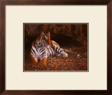 The Tiger's Lair