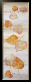 Buy Scirocco II at AllPosters.com