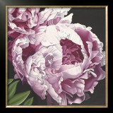 Buy Peony II at AllPosters.com
