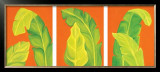 Buy Life in the Tropics at AllPosters.com